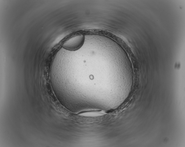 X0000090960871200708161814