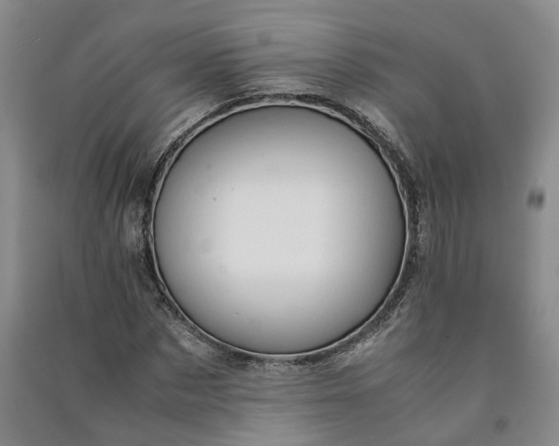 X0000090960873200708161814