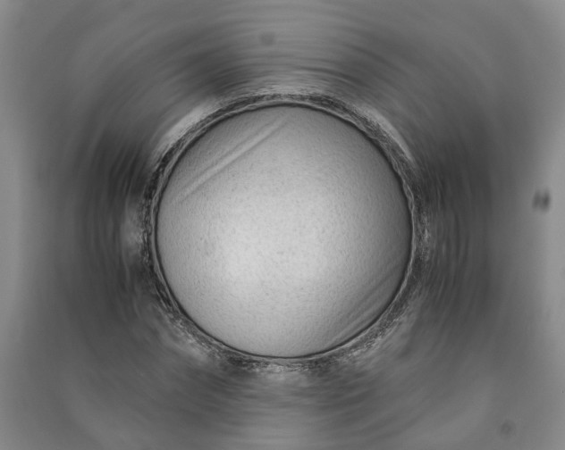 X0000090960874200708161814