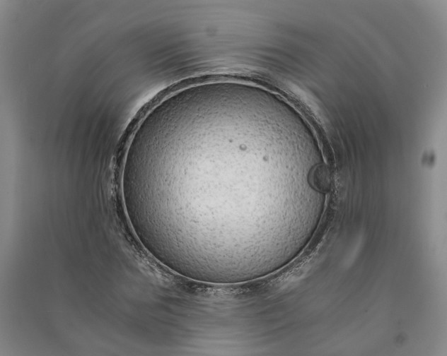X0000090960875200708161814