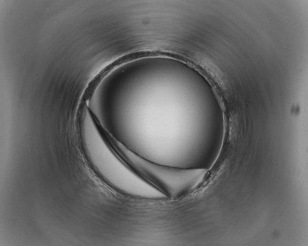 X0000090960876200708161814