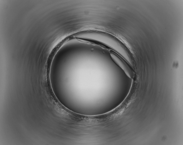 X0000090960877200708161814