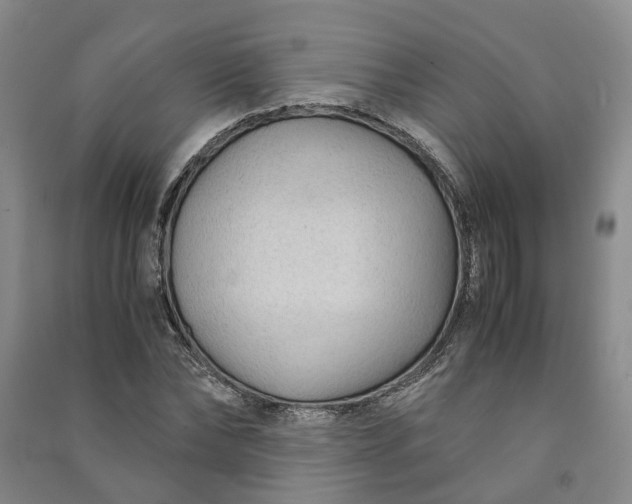 X0000090960878200708161814