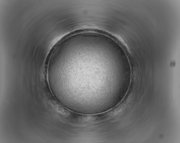 X0000090960879200708161813
