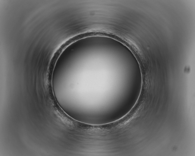 X0000090960880200708161813