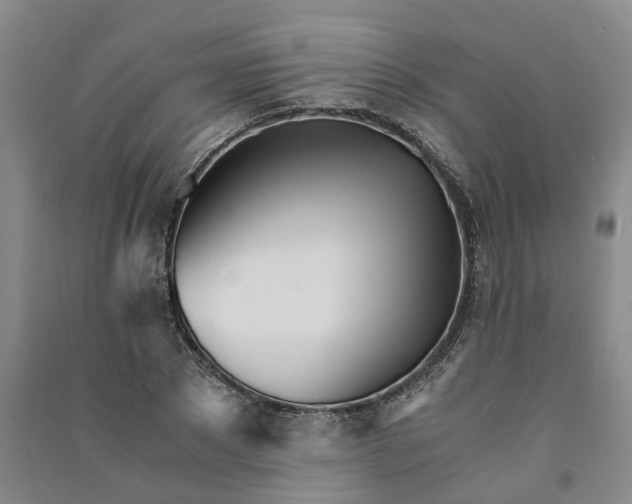 X0000090960881200708161813