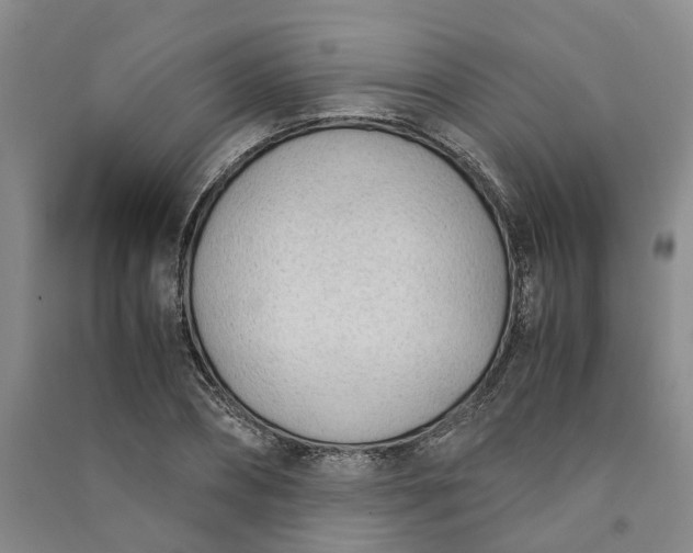 X0000090960882200708161813