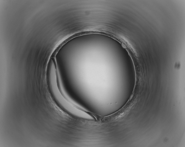 X0000090960884200708161813