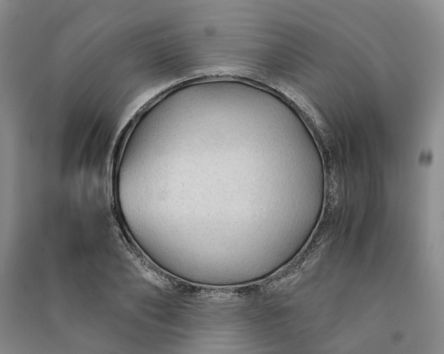 X0000090960886200708161813