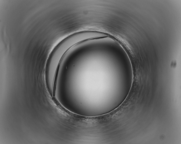 X0000090960888200708161813