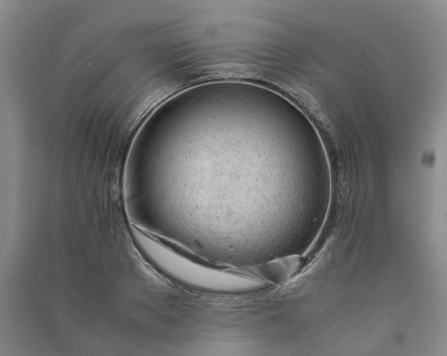 X0000090960889200708161813