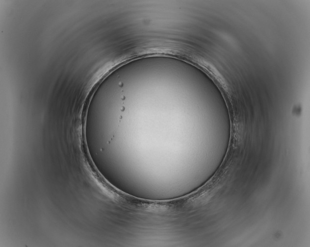 X0000090960890200708161813