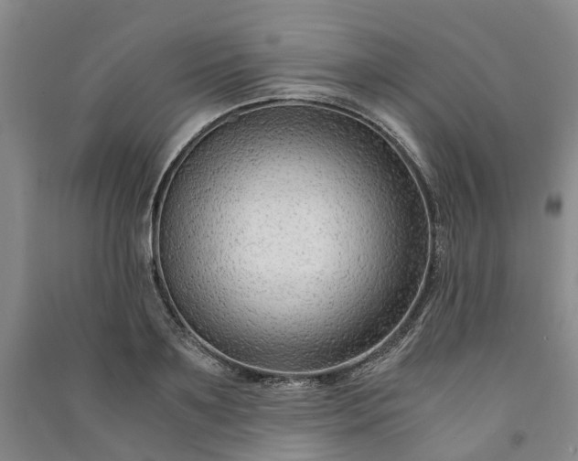 X0000090960891200708161813