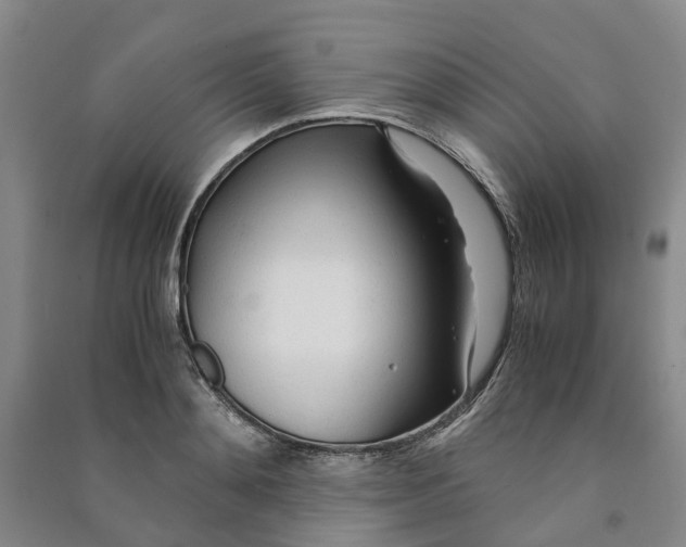 X0000090960892200708161813
