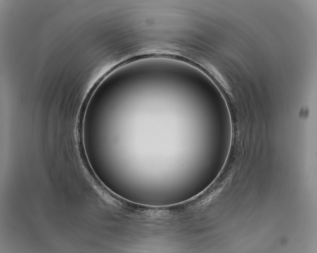 X0000090960893200708161813