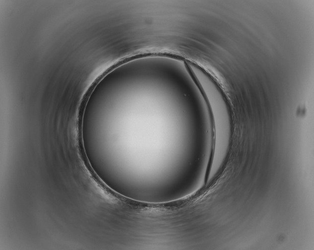 X0000090960894200708161813