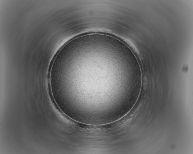 X0000090960895200708161813