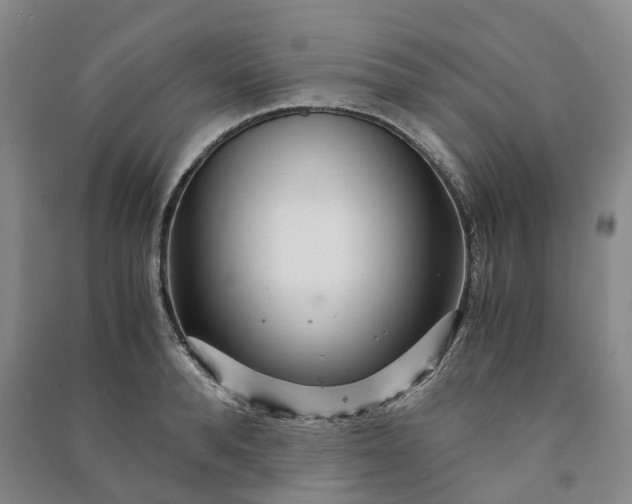 X0000090960896200708161813
