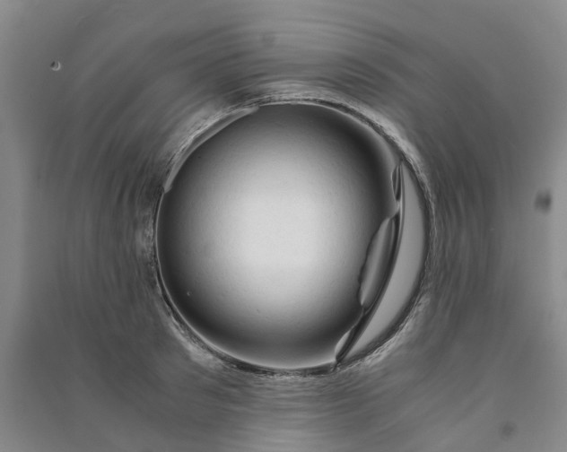 X0000090960897200708161813