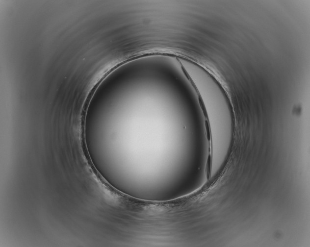 X0000090960898200708161813