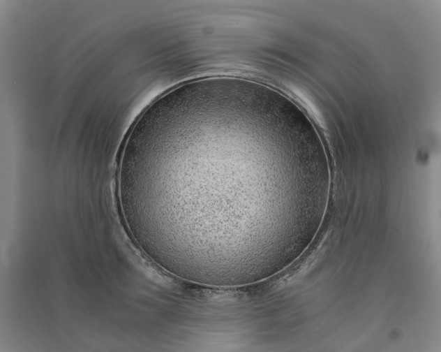 X0000090960899200708161813
