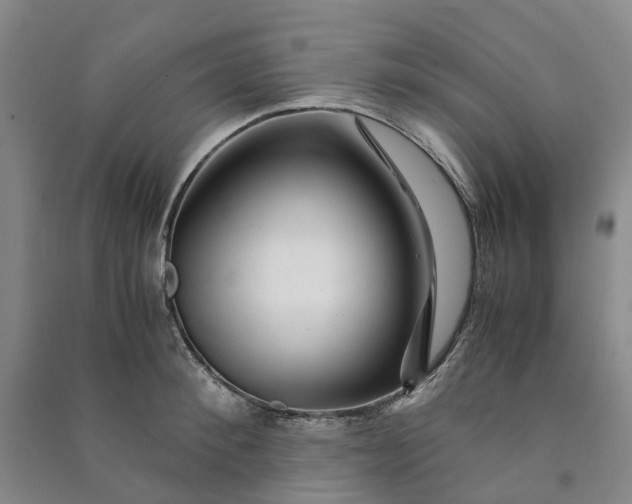 X0000090960900200708161813