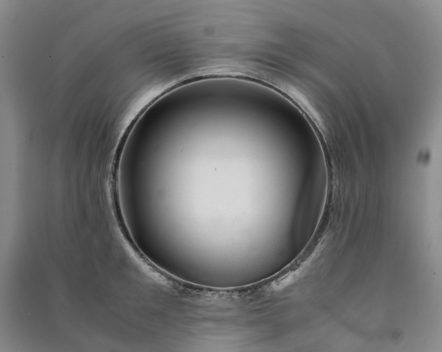 X0000090960901200708161813