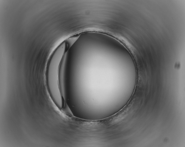 X0000090960902200708161813