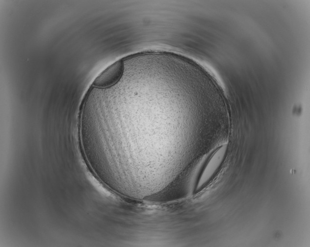 X0000090960903200708161813