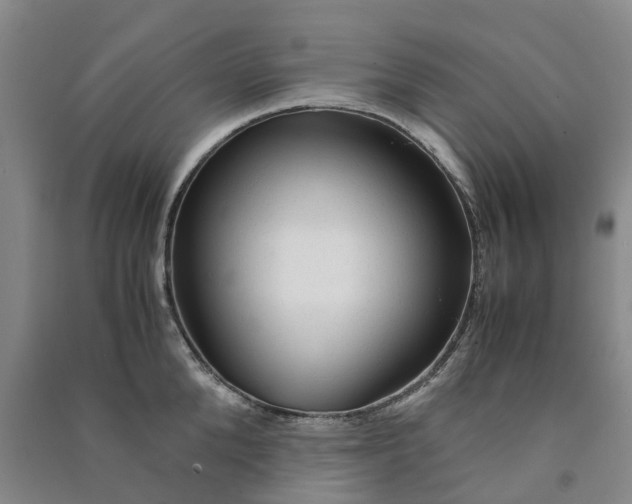 X0000090960904200708161813
