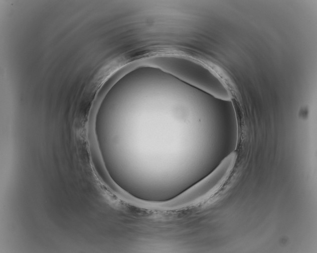 X0000090960905200708161813