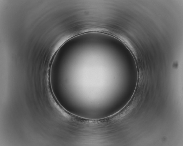 X0000090960906200708161813