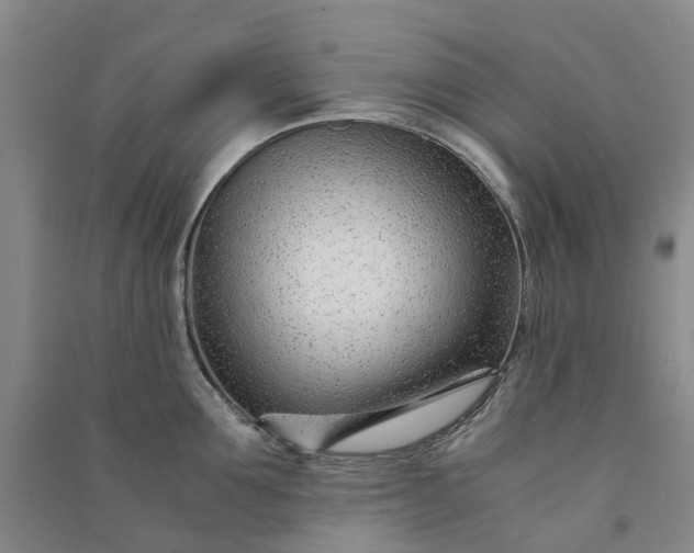 X0000090960907200708161813