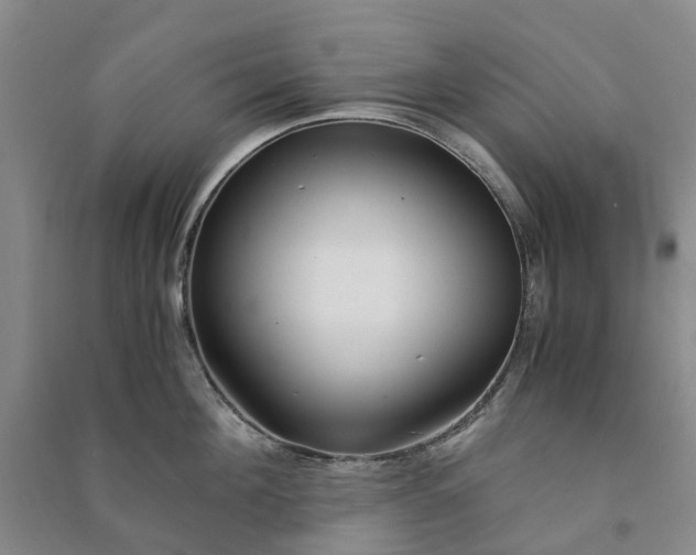 X0000090960908200708161813