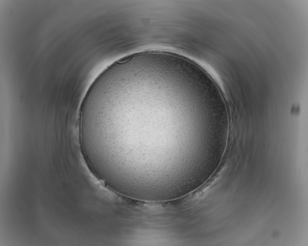 X0000090960911200708161813