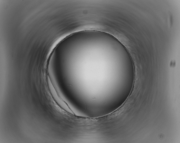 X0000090960912200708161813