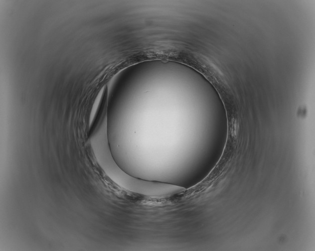 X0000090960915200708161813