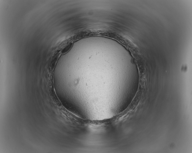 X0000090960917200708161813