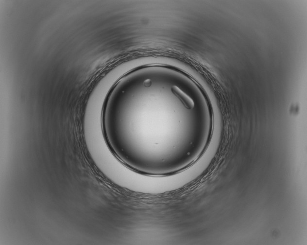 X0000090960918200708161813