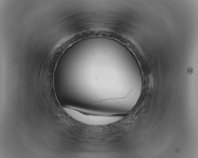 X0000090960919200708161813