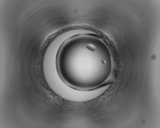 X0000090960920200708161813
