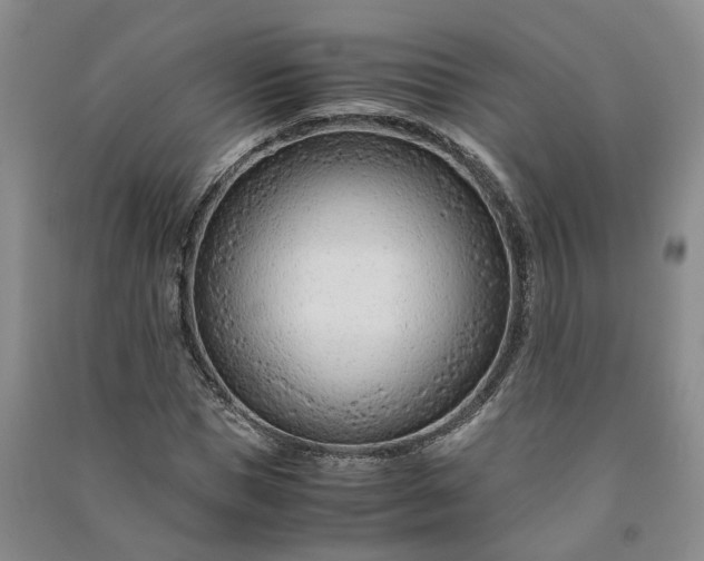X0000090960921200708161813