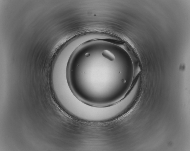 X0000090960922200708161813
