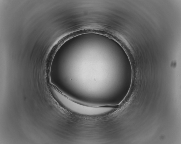 X0000090960923200708161813