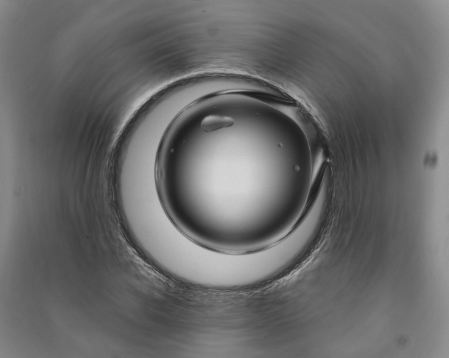 X0000090960926200708161813