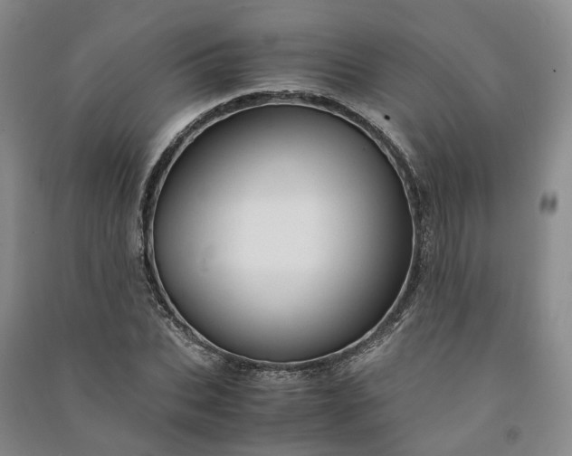 X0000090960927200708161813