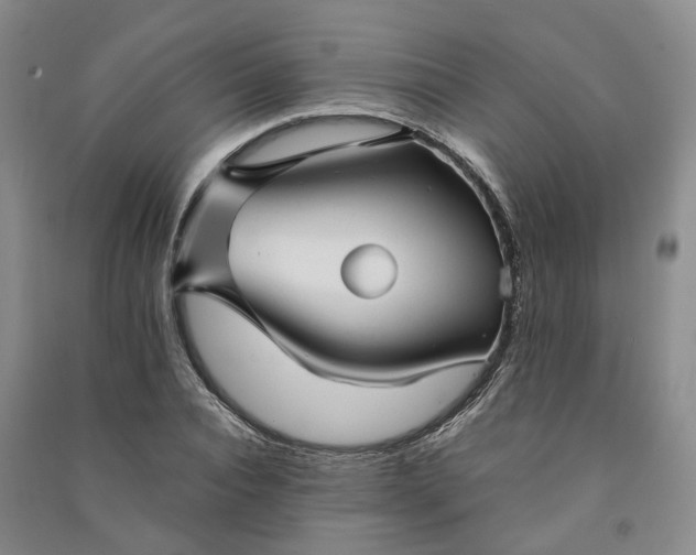 X0000090960928200708161813