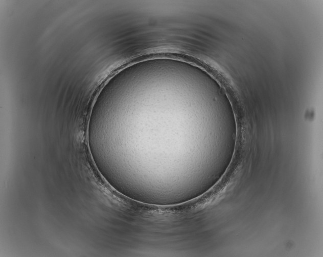 X0000090960929200708161813