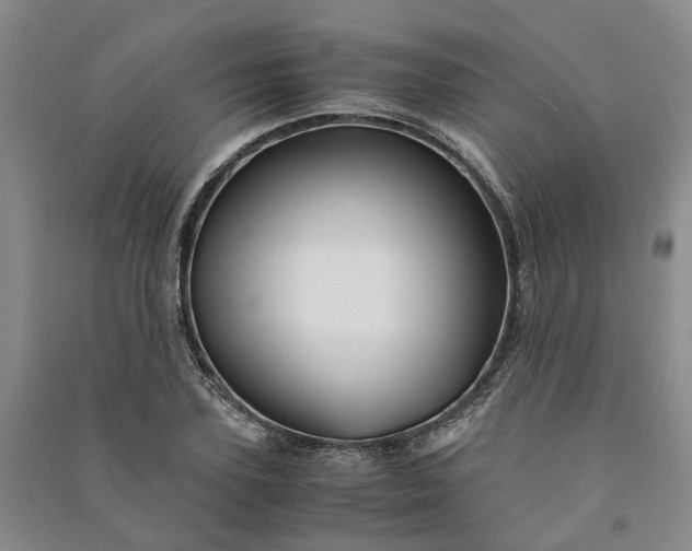 X0000090960931200708161813