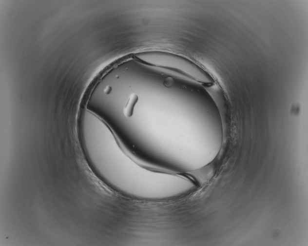 X0000090960932200708161813